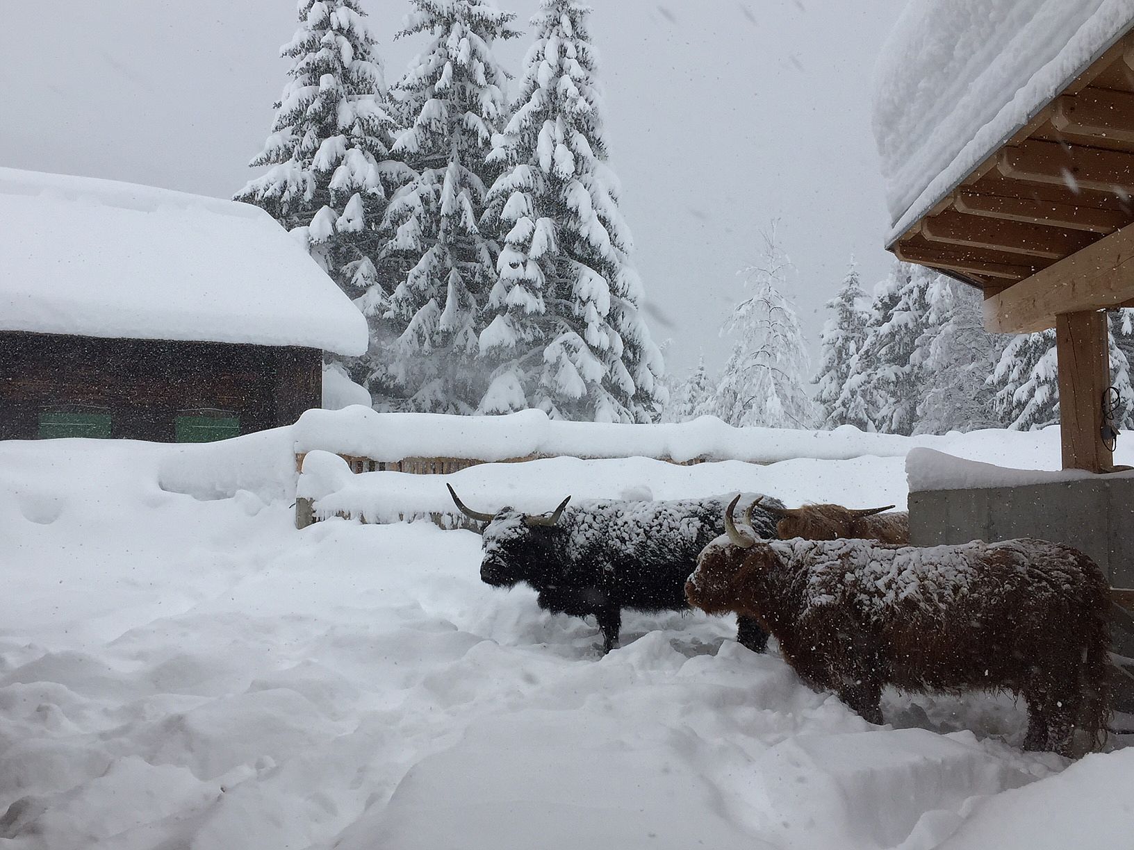 Ferienwohnung Leutasch Tirol